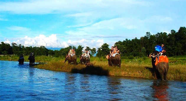 Chitwan-National-Park-is-one-of-Beautiful-Places-in-Nepal.jpg