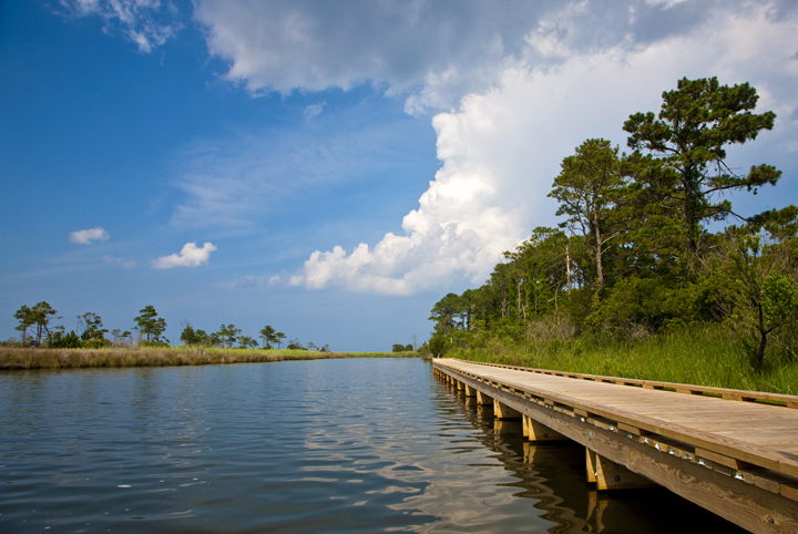 Guests-stroll-along-the-boardwalk-that-lines-the-25-acre-island-and-watch-marsh-grasses.jpg