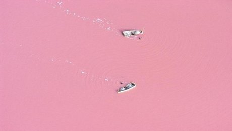 Pink-Lake-in-Senegal.jpg