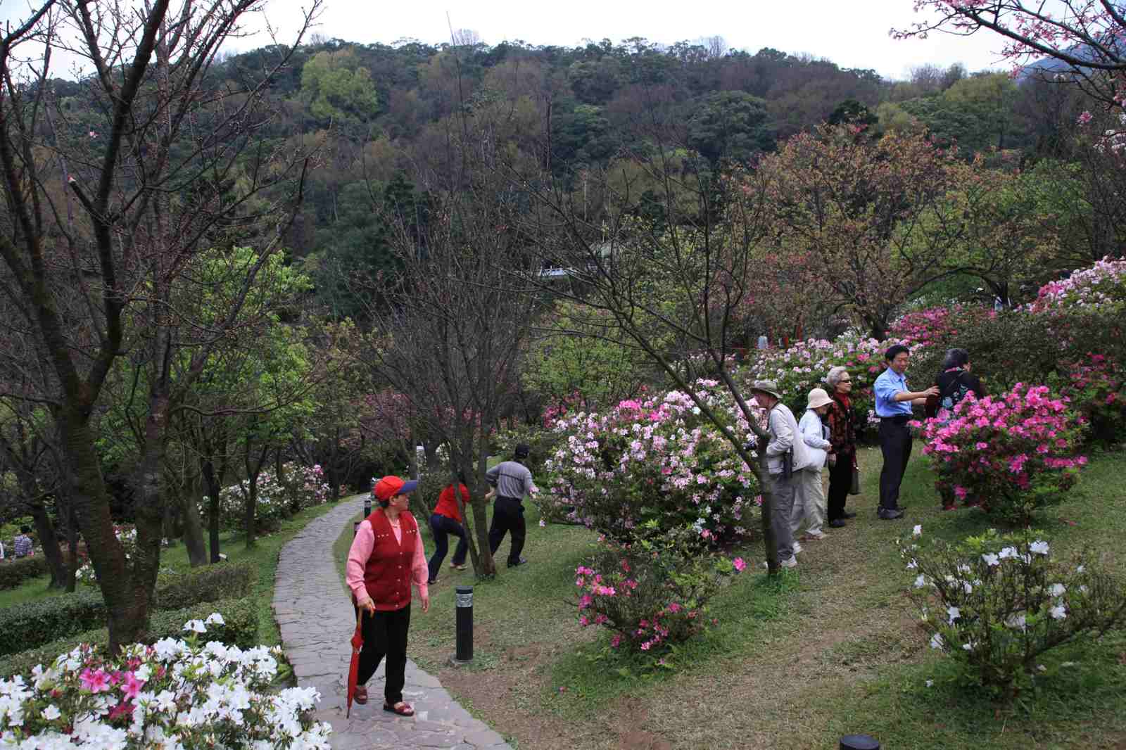 People-enjoing-in-Yangmingshan-Flower-Festival.jpg