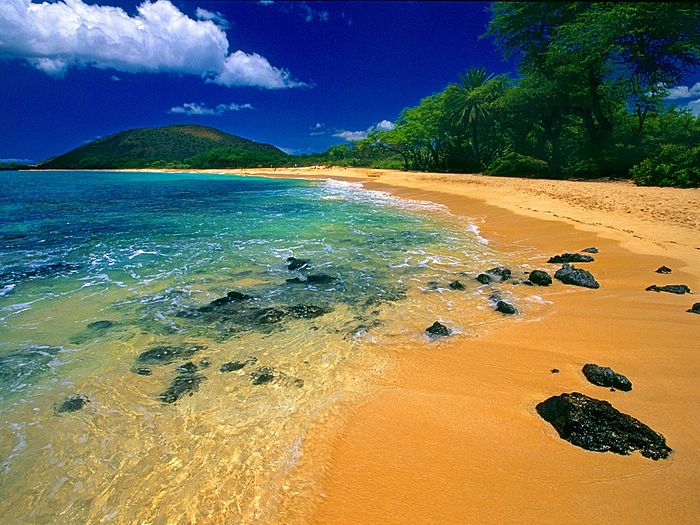 Big-Beach-Calgary-to-Maui-Hawaii.jpg