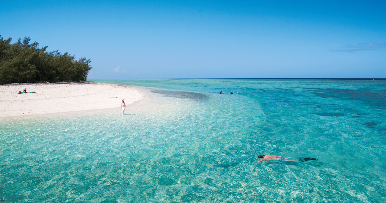 Snorkelling-in-Heron-Island.jpg