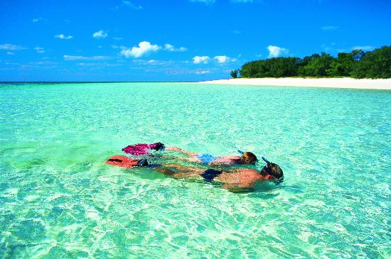 Heron-Island-Snorkelling.jpg