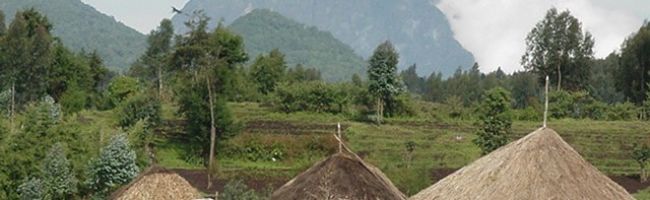 Nongona-Valley-in-Rwanda-640x198.jpg