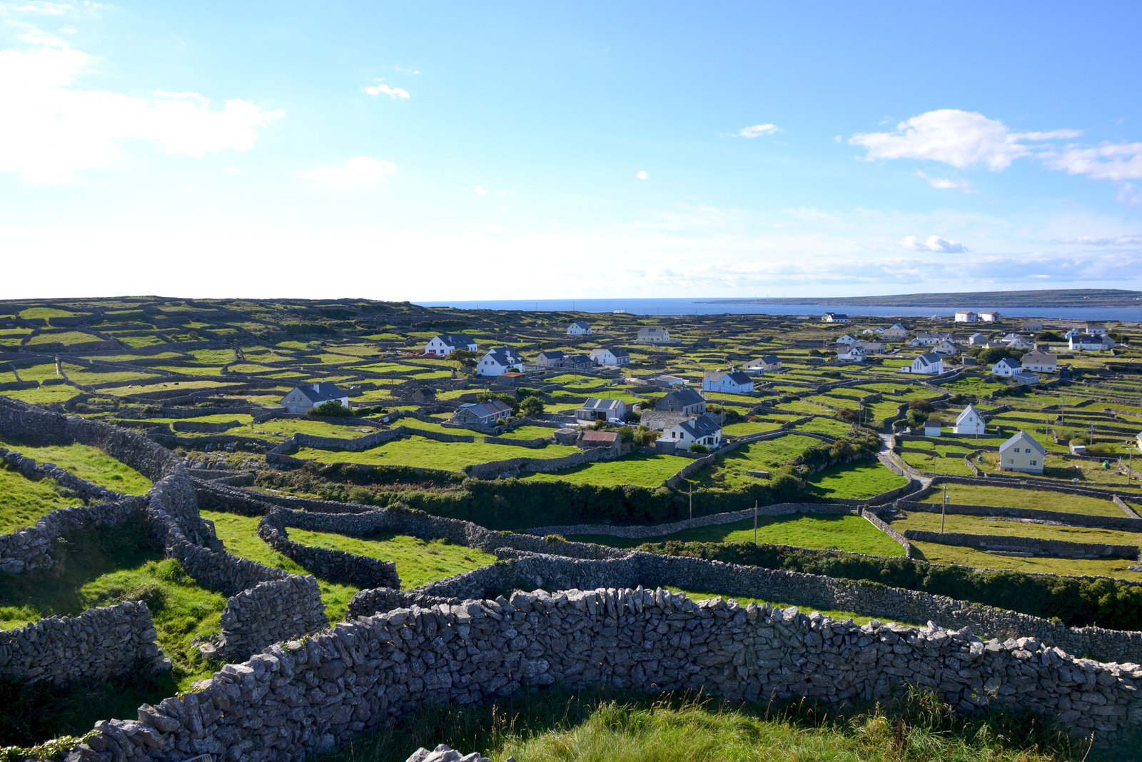 The-local-hero-down-by-the-dock-on-Inis-Oirr.jpg