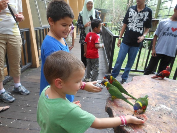 enjoing-kids-Bird-park-Kuala-Lumpur.jpg