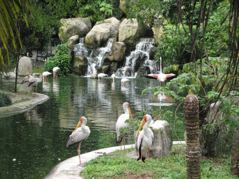Kuala-Lumpur-Bird-Park.jpg