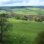 view-of-cotswolds-hills-150x150.jpg