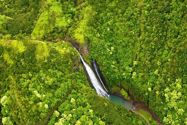 Hawaii1.jpg