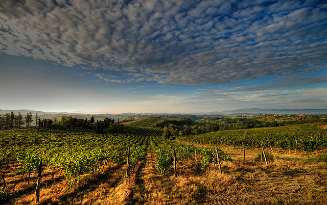 Chianti-Wine-Region.jpg