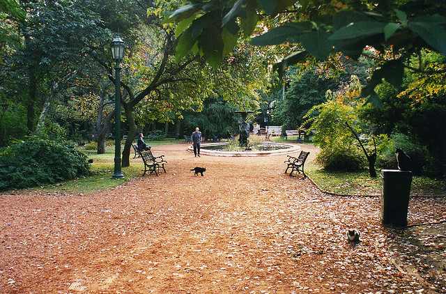 Carlos-Thays-Botanical-Garden.jpg