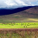 Ngorongoro-Crater-150x150.jpg