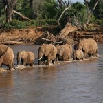 Samburu-National-Reserve-150x150.jpg