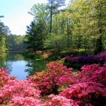 Callaway-Gardens-150x150.jpg