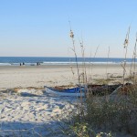 Cumberland-Island-National-Seashore-150x150.jpg