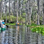 Okefenokee-National-Wildlife-Refuge-150x150.jpg