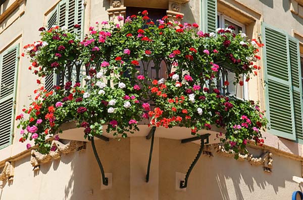 view-of-Colmar-France.jpg