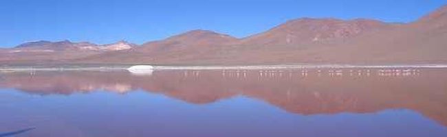 Laguna-Colorada-500x198.jpg