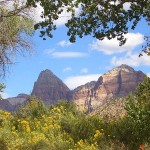 Zion-150x150.jpg