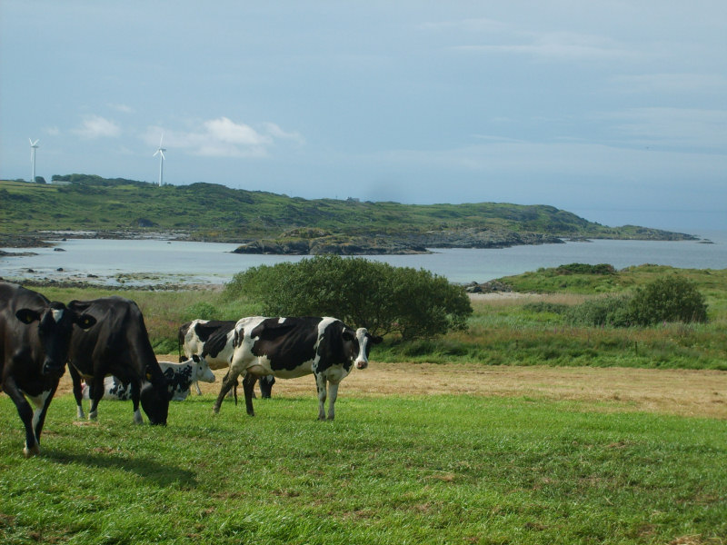 gigha-island.jpg