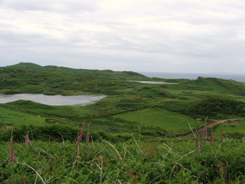 gigha-island-halibut.jpg