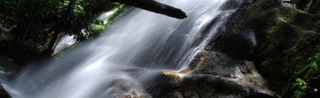 A-huge-waterfall-in-Commonwealth-Forest-Park-645x198.jpg