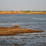 Himayat-Sagar-Lake-with-Common-Coots-Fulica-atra-in-Hyderabad-India.-150x150.jpg