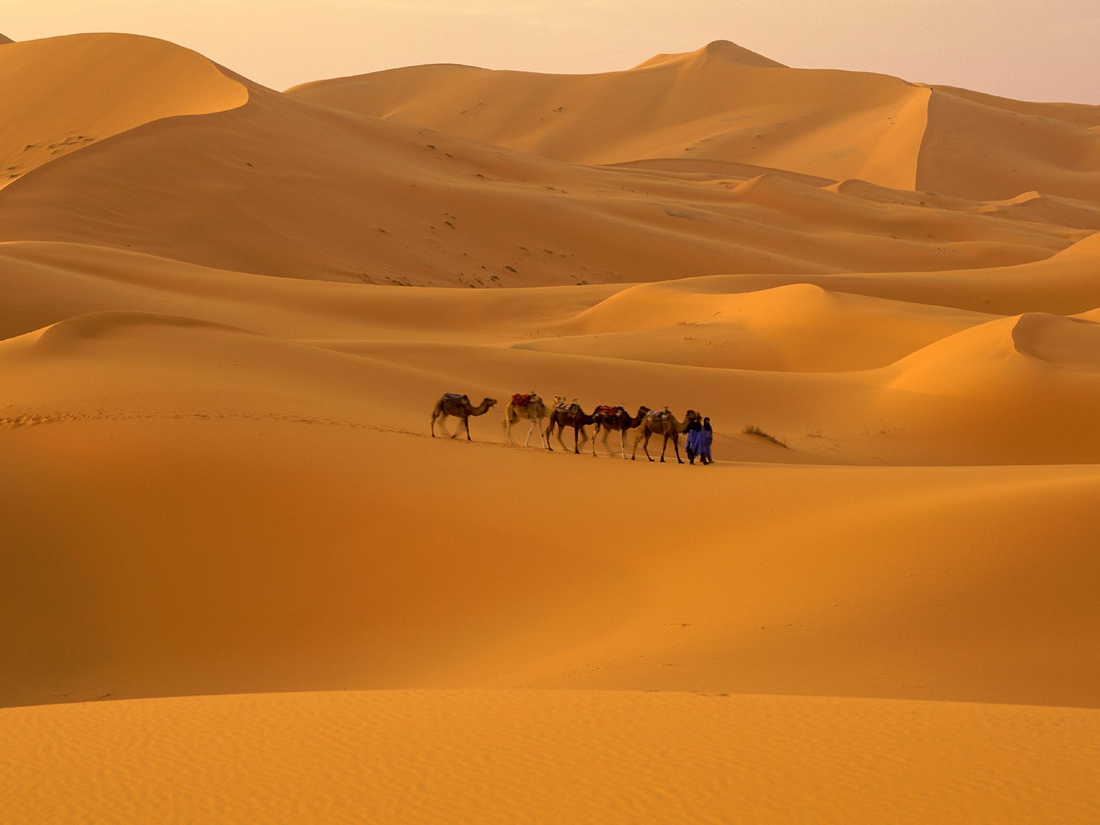 Sahara-Desert-Morocco1.jpg