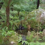 Fern-Garden-Pena-Palace-Sintra-Portugal-150x150.jpg