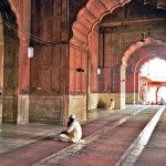 Jama-Masjid-New-Delhi-India-150x150.jpg