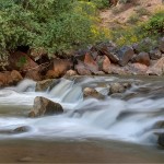 rfall-in-the-north-fork-of-the-Virgin-River-near-Zion-National-Parks-Temple-of-Sinawava.-150x150.jpg