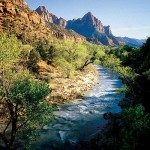 virgin-river-zion-l-150x150.jpg