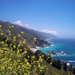 Big-Sur-Coast-in-Central-California-looking-south-near-Julia-Pfeiffer-Burns-State-Park-150x150.jpg