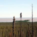 Great-Slave-Lake-Northern-Bay-NWT-Canada-150x150.jpg