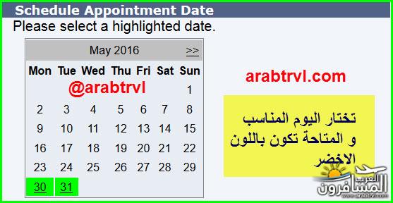 arabtrvl1463518148459.jpg