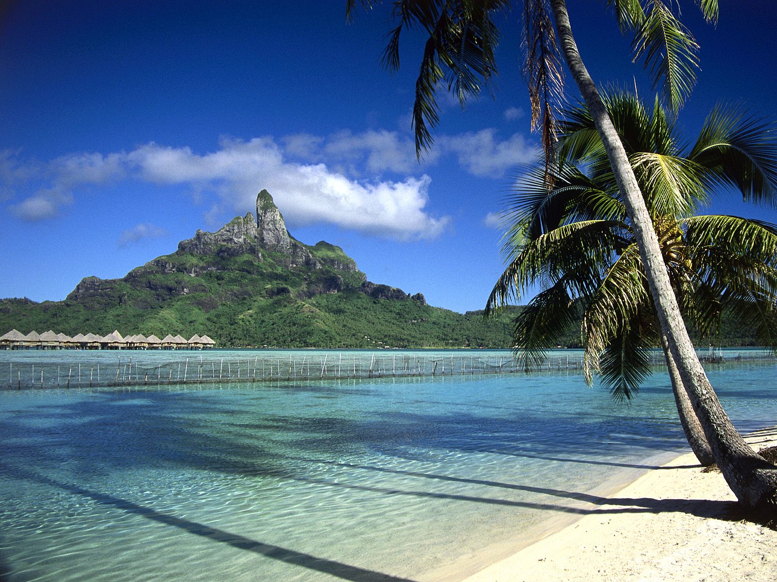 bora-bora-island-4.jpg