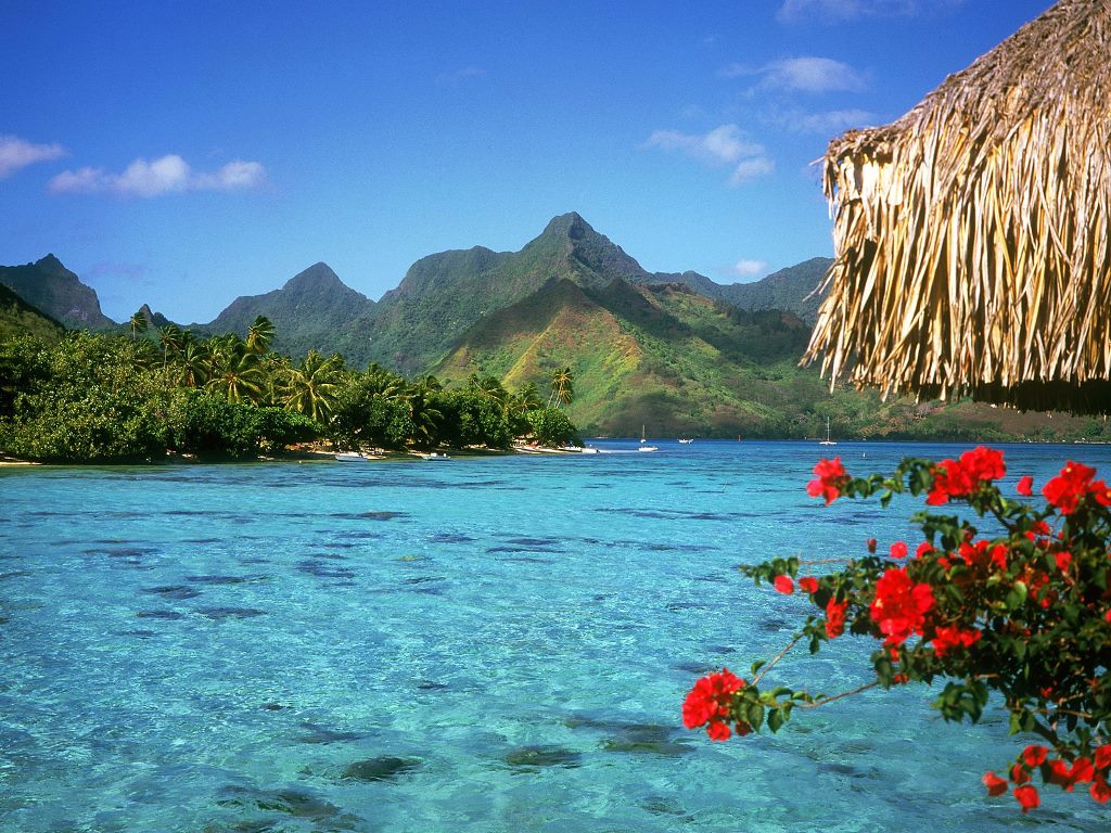 bora-bora-island-9.jpg