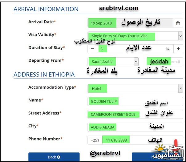 arabtrvl1537089819822.jpg