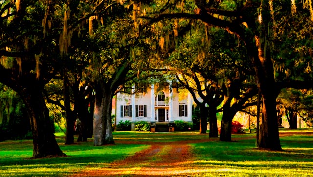 mcleod-plantation-house.jpg