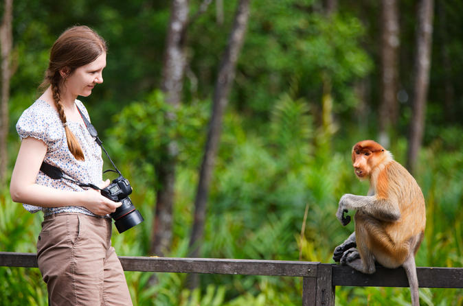 tseeing-and-wildlife-experience-in-in-sabah-119790.jpg