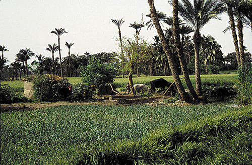 arab_travelers_malaysia_1395903597_539.jpg