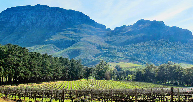 Cape-Winelands-Photo-Courtesy-of-Wikimedia-Commons.jpg