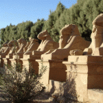 arab_travelers_tours_photo_1416138876_701.gif