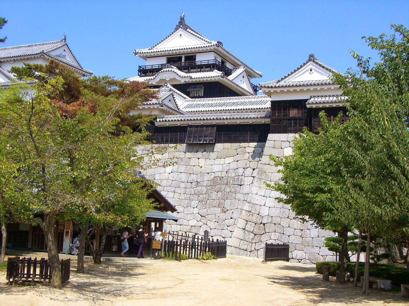 Matsuyama_castle%2528Iyo%25296.jpg