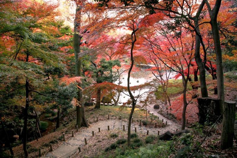 koraku-koishikawa-korakuen-gardens.jpg