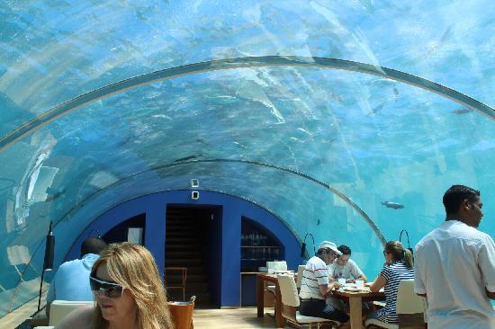 underwater-restaurant.jpg