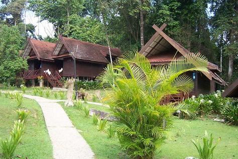 Taman-Negara-2.jpg