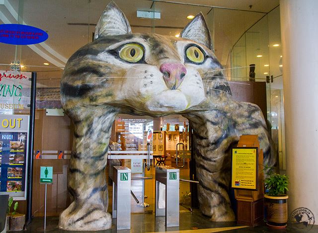 Cat-Museum.jpg