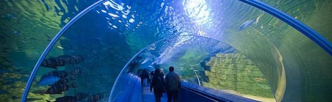 Turkuazoo-132-million-gallons-640x198.jpg