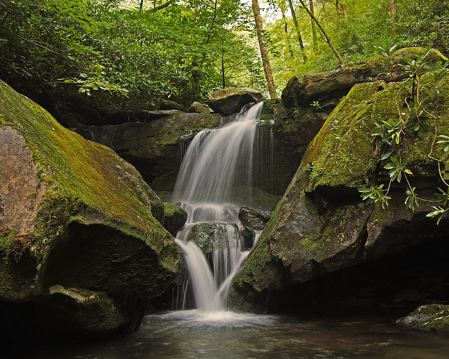 appalachian-mountain-creek-ulrich-burkhalter.jpg